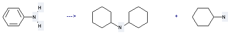 N,N-Dicyclohexylamine can be prepared by aniline